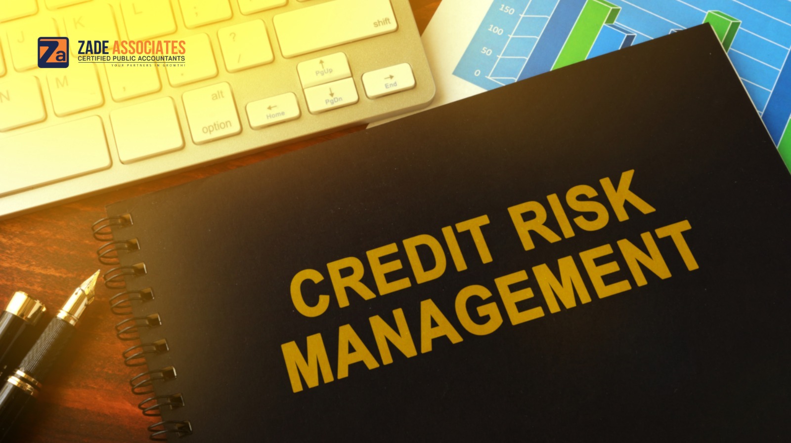 Why Strong Credit Governance Determines Institutional Resilience?